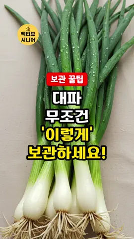 대파, 무조건 '이렇게' 보관하세요! #보관꿀팁 