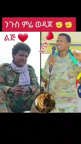 #ቪዲዮእያጠፋብኝነው #ቤተሰብኮፒሊንክ10አድረጉልኝ #ፋኖመከታቺን💚💛❤💪💪✅ቤተአማራ💚💛❤✊💒❤🤝❤ #አማራዬ💚💛❤አማራዬ💚💛❤ 