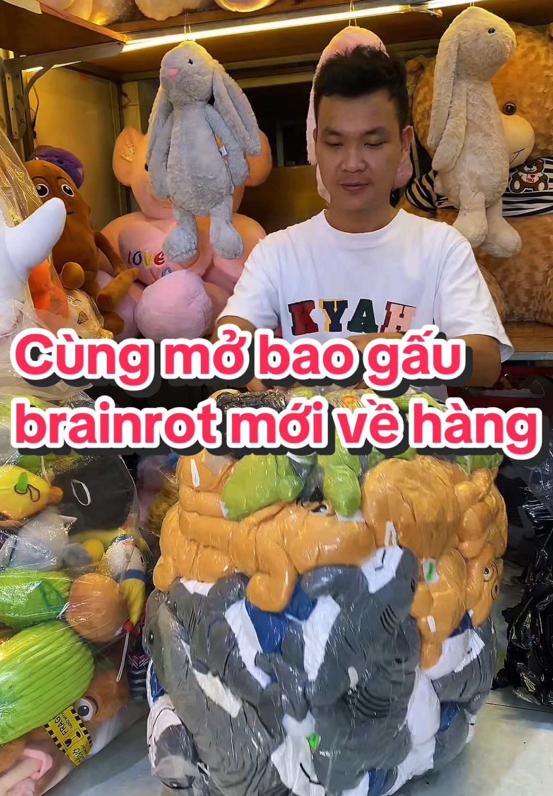 Bạn đã có con gấu bông này chưa? #brainrot #bombardirocrocodilo #capuchinoasasino #tralalerotralala #tungtungtungsahur 