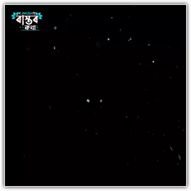 কখনো ভাবতে পারিনি জীবনে এমন সময় আসবে যা আমাকে নিরবে কাঁদাবে ! #foryou #foryoupage #lyricsvideo #fyp #bdtiktokofficial @TikTok @TikTok Bangladesh 