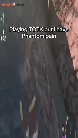 You can break every bone in my body but that won’t stop me from cracking Sidon #phantompain #totk #zelda #tearsofthekingdom #breathofthewild 