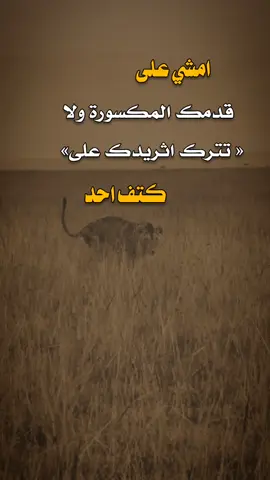 امشي على قدمك 👌✋ #عبارات #اكسبلور 