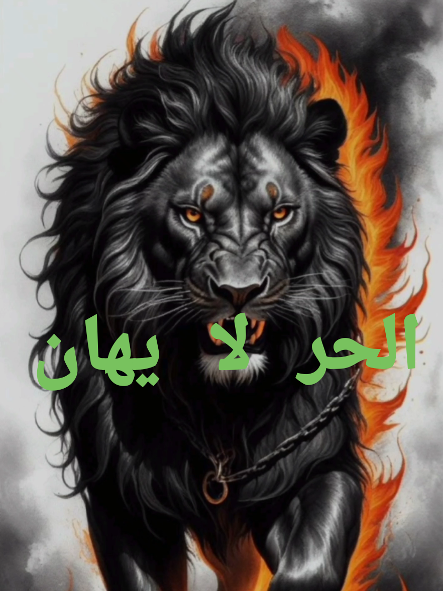 أنا الحر الذي لا يهان  #حكمة #خواطر #كلام_من_ذهب   #اللهم_صل_على_نبينا_محمد #psychology #motivation #fyp #viral 