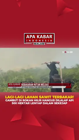 🌍 Kebakaran Hutan dan Lahan Meluas Kebakaran hebat melanda lahan gambut dan perkebunan sawit di Rokan Hilir, Riau, dengan luas mencapai 500 hektar. Asap tebal telah menyebar hingga ke pemukiman warga, memaksa pemerintah setempat mengumumkan status tanggap darurat. 🔥 Tim Brimob Polda Riau dikerahkan untuk memadamkan api yang telah melalap empat titik api aktif di tiga kecamatan. Akses jalan yang rusak dan minimnya sumber air menjadi kendala besar dalam proses pemadaman. 📡 Pantau terus tvOne untuk berita lebih lanjut! #ApaKabarIndonesia #BreakingNews #KebakaranHutan #Riau #TanggapDarurat #Lingkungan #akiTVone
