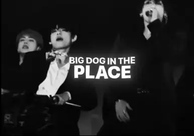 PitBull Terrier#edit #jungkook #rek #taekook 