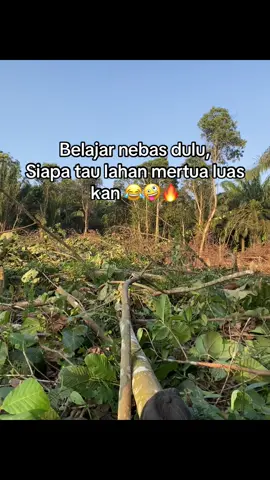 #kebunsawitkalimantan🌴 #sawittontiktok🌴 #petanisawit🌴 #pageforyou #pejuangrupiah #hutankalimantanutara #fyp 