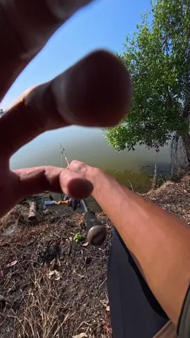 Memeriahkan Harcingnas bersama @cak.wid.angler @rizky.adi.prasetyo @om.bayyyy  full ilmu kalo castbar bareng angler lawas. #mancing #Casting #kakapputih #baramundi #barramundi #bloso #tambak