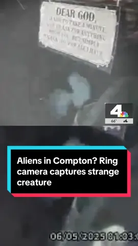 Aliens in Compton? That’s what one woman believes she captured on her home security camera. Jessica Ortiz said she was stunned when her Ring camera captured a strange-looking creature trotting along the side of her home. Seeking clarity on what exactly the figure could be, she posted the video onto her social media accounts and users have been weighing in on what it could be. #Compton #aliens #extraterrestrial 