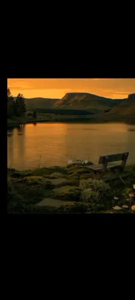 #fypシ#paratiiiiii  #LIVEIncentiveProgram #LIVEwithlowfollowers #PaidPartnership 