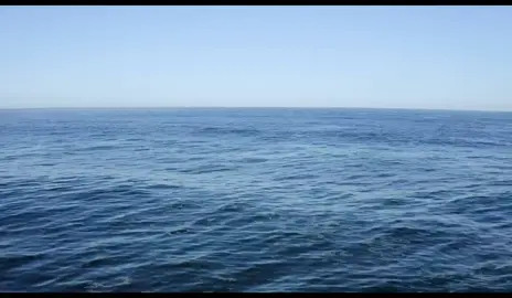 #mariamamer9612    #كلام_الله   #القرآن_الكريم   #آيات_بينات   #تدبرات_قرآنية   #سورة_الفاتحة    #سورة_البقرة  #سورة_آل_عمران #سورة_النساء   #سورة_المائدة #سورة_الأنعام #سورة_الأعراف #سورة_الأنفال  #سورة_التوبة #سورة_يونس   #سورة_هود #سورة_يوسف #سورة_الرعد    #سورة_إبراهيم #سورة_الحجر  #سورة_النحل #سورة_الإسراء #سورة_الكهف #سورة_مريم  #سورة_طه #سورة_الأنبياء #سورة_الحج   #سورة_المؤمنون   #سورة_النور #سورة_الفرقان   #سورة_الشعراء #سورة_النمل   #سورة_القصص #سورة_العنكبوت #سورة_الروم #سورة_لقمان #سورة_السجدة #سورة_الأحزاب   #سورة_سبأ   #سورة_فاطر   #سورة_يس #سورة_الصافات #سورة_ص #سورة_الزمر   #سورة_غافر   #سورة_فصلت    #سورة_الشورى #سورة_الزخرف    #سورة_الدخان   #سورة_الجاثية   #سورة_الأحقاف #سورة_محمد  #سورة_الفتح #سورة_الحجرات #سورة_ق #سورة_الذاريات  #سورة_الطور #سورة_النجم #سورة_القمر #سورة_الرحمن   #سورة_الواقعة #سورة_الحديد   #سورة_المجادلة #سورة_الحشر #سورة_الممتحنة   #سورة_الصف #سورة_الجمعة  #سورة_المنافقون #سورة_التغابن #سورة_الطلاق   #سورة_التحريم #سورة_الملك #سورة_القلم  #سورة_الحاقة #سورة_المعارج #سورة_نوح #سورة_الجن  #سورة_المزمل #سورة_المدثر #سورة_القيامة #سورة_الإنسان #سورة_المرسلات #سورة_النبأ   *#سورة_النازعات #سورة_عبس #سورة_التكوير   #سورة_الانفطار #سورة_المطففين #سورة_الانشقاق    #سورة_البروج #سورة_الطارق   #سورة_الأعلى #سورة_الغاشية   #سورة_الفجر   #سورة_البلد   #سورة_الشمس   #سورة_الليل #سورة_الضحى   #سورة_الشرح   #سورة_التين #سورة_العلق #سورة_القدر #سورة_البينة   #سورة_الزلزلة #سورة_العاديات #سورة_القارعة   #سورة_التكاثر #سورة_العصر #سورة_الهمزة  #سورة_الفيل #سورة_قريش   #سورة_الماعون #سورة_الكوثر   #سورة_الكافرون    #سورة_النصر #سورة_المسد   #سورة_الإخلاص #سورة_الفلق 