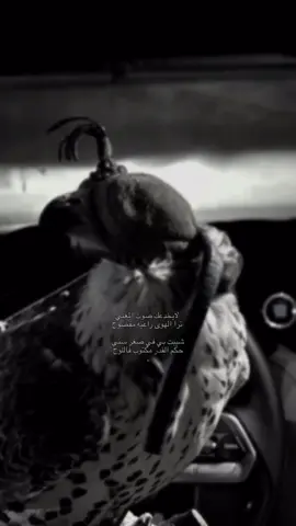 لا يخدععك صوت المغغني.