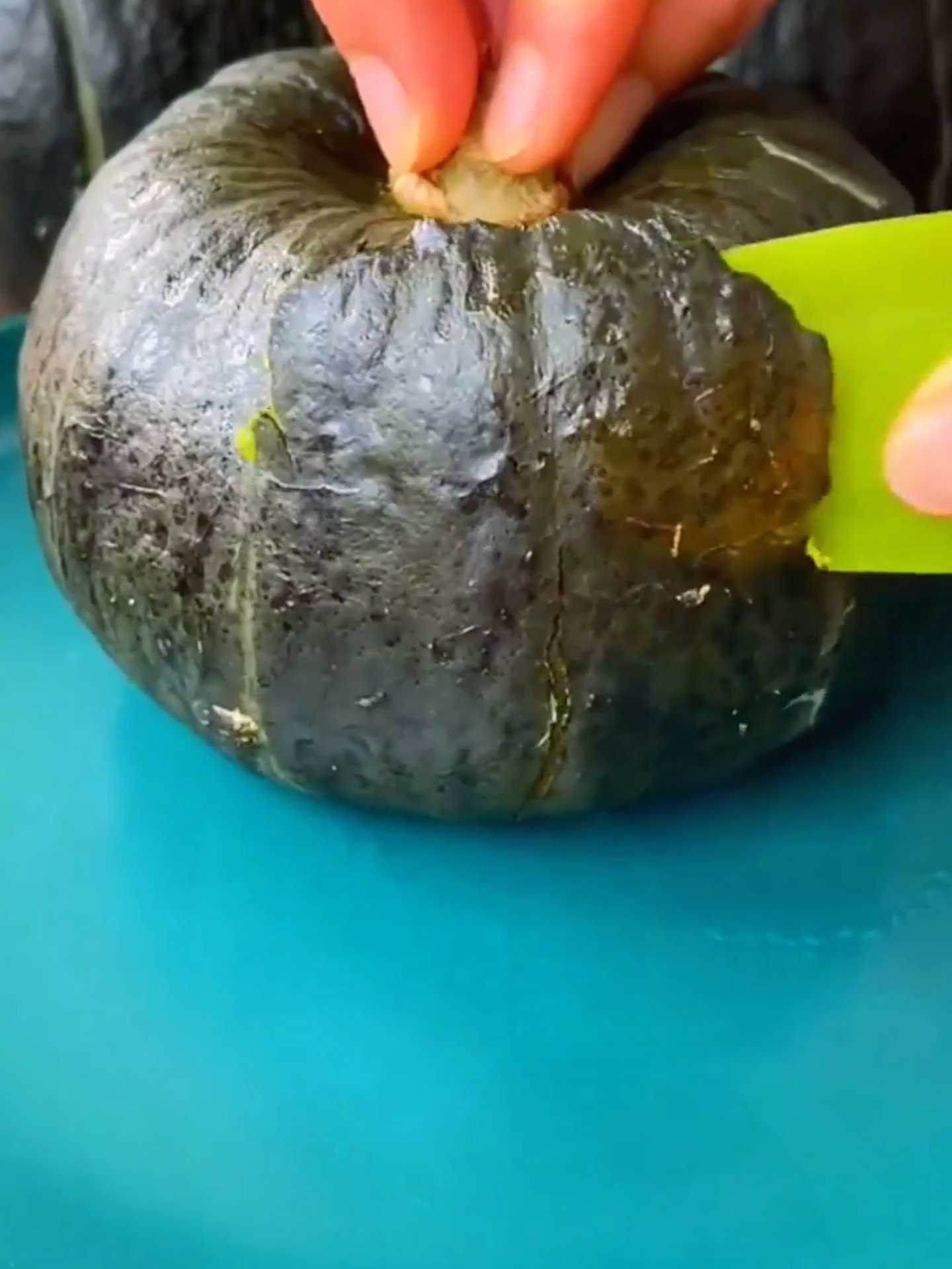 Labu Jepun ni rasa macam makan keledek manis!#Sayur #Buah #tanaman #Import #Keluarga