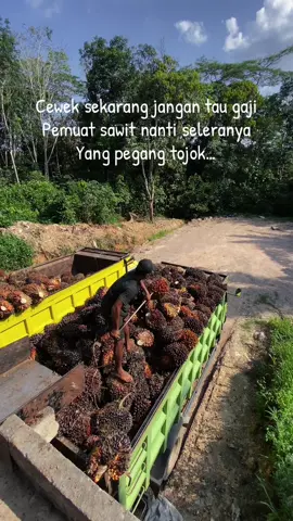 Jangan ya dek …. 🤫🤫🤫 #kulisawitkalimantan #fypage #fyppppppppppppppppppppppp 