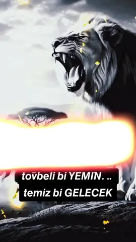 🅐🅝🅛🅐🅓ı🅝 🅐🅝🅛🅐🅓ı🅝 🐺🅔🅨🅥🅐🅛🅛🅐🅗🐺