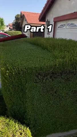 #redditreadings #reddit #fyp 