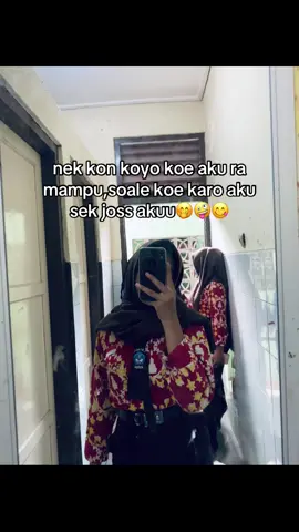 sun sek