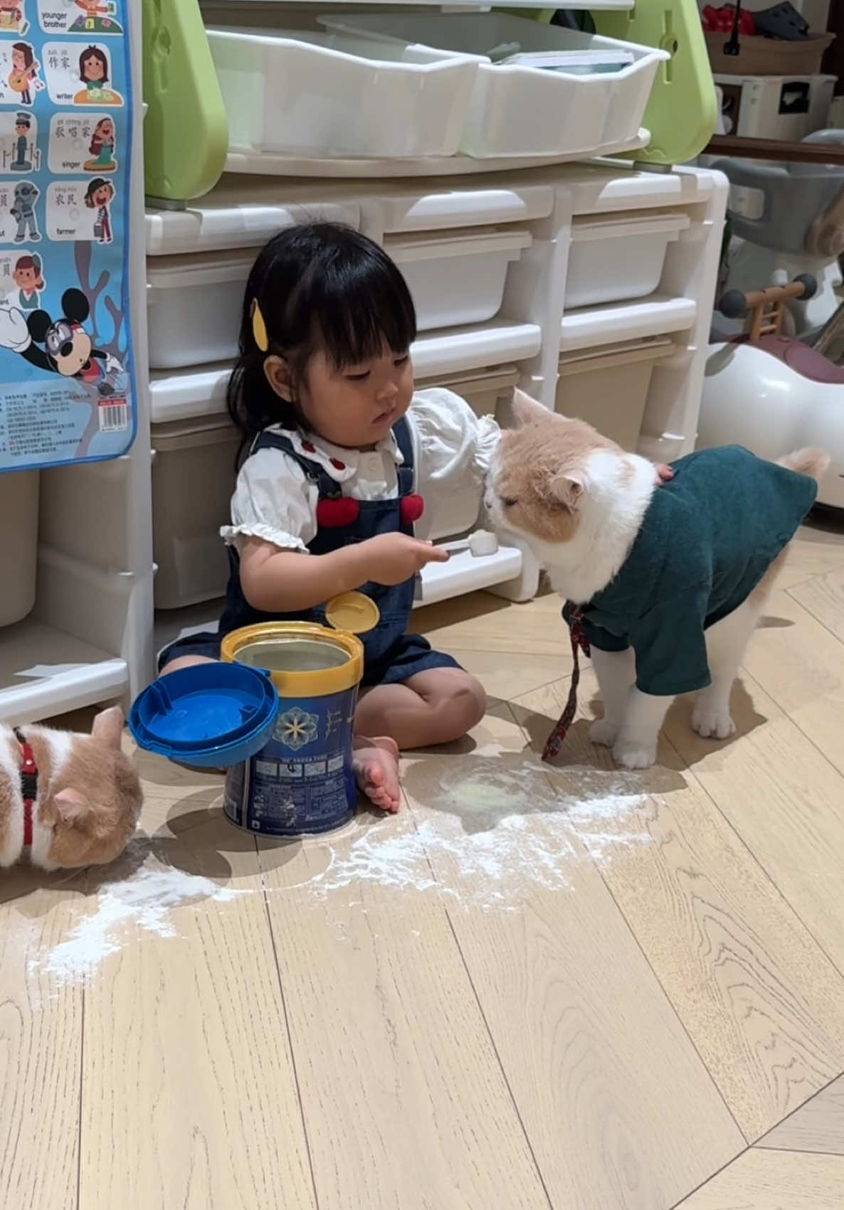 When kids go quiet… they’re definitely up to something 😅#dadslife #catlover #baby 