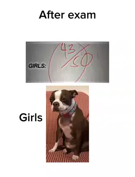 #after #exam #girls #vs #boys  #dog #fyp 