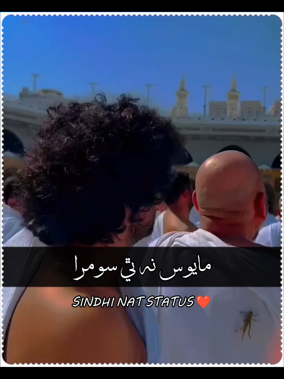 ھڪ ڏينھن چوندا ❤️ #naat #naatsharif #sindhinaat #sindhinaatstatus #sindhiallnaat #fyp #foryou #foryoupage❤️❤️ #virl  Dham                                                                                      ....                                                           #sindhisongstatus #sindhinewstatus #sindhwale #sindhitiktok #sindhivideo #foryou #foryoupage #viral #burhan_tv #sindhi #sindhistatus #statusvideo #statusvideo #sindhiaesthetic👑 #comradesain777 #fypシ #fypシ゚viral🖤tiktok #tiktoklove #spotifydhoom #sindhiwhatsappstatus #sindhipoetry #sindhishairi #mumtazmolai #ahmedmughal #sarmadsindhi #shamanalimirali #rajabfaqeer #raufmangsi #mastermanzoor #sadiqfaqeer #rafiquefaqeer #mumtazlashari #khalidhussainbhatti #ghulamhussainumrani 
