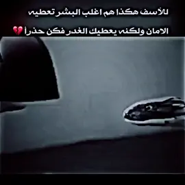 كن حذرآ ولا تعطي الثقه لمن لا يستحقها  #اكسبلوووور_فولو_لايك_متابعه_كومنت❤ #ممكن_متابعه_فضلا_وليس_امرا #اكسسسسسبلورررررررر #ممكن #اكسبلووووور #حزينہ♬🥺💔 #اكسبلور #الحزن_فى_قلبى💔 #الحزن💔عنواني💔ــہہہــــــــــہہـ👈⚰️ 
