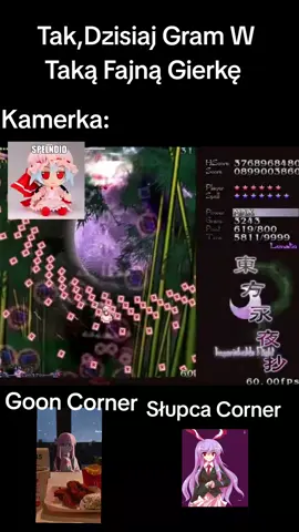 gram w touhou #dc #shitpost #touhou #nwm 