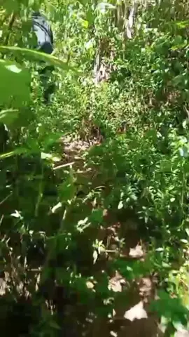 hayang ninggali pemandangan meni asruk² an #republik 