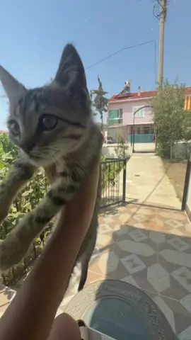 #fyyyyyyyyyyyyyyyy #fyp #fypage #türkiye🇹🇷 #türkei #viral #viralvideos #vrl 