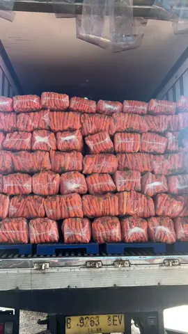 #viral #viral #fyp #coldstorage #reymulana #wortelmanisberastagi🥕🥕🥕 #rdmulana  SMOGA BERKAH BOZ