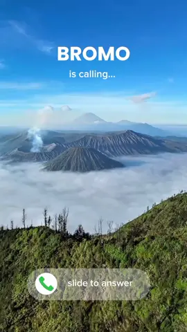 Bromo is Calling, are you ready to answer?  Kamu gak perlu jauh-jauh ke luar negeri buat ngerasain semua ini Kamu gak perlu ke Swiss buat ngerasain dinginnya pagi, gak perlu ke Sahara buat lihat lautan pasir, dan gak harus ke Nepal buat lihat gunung dari atas awan. ⠀ Semua itu bisa kamu rasain... di Bromo. ⠀ 🧳 Sunrise yang magis, langit yang pelan-pelan berubah warna, jeep trip yang seru, dan udara dingin yang nyentuh sampai hati. ⠀ Bareng Aisyah Jaya Wisata, semua udah disiapin. ✨ Kamu tinggal datang, nikmati, dan pulang bawa cerita. ⠀ 💬 Mau ngerasain sendiri? Langsung aja DM, yuk! Siapa tahu ini trip yang kamu butuhin. #bromo #bromotenggersemeru #bromotrip #wisatabromo #malang #wisatamalang #liburanseru #fyp #fypage #aisyahjayawisata 
