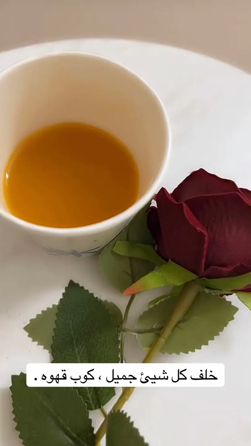 #اكسبلور 