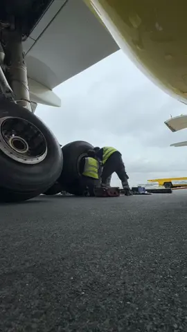 Normal day at Line. IAW Aicraft Maintenance Manual. Rev. 47 Dtd: 01July25’ #aviation #aircraft #donuts  #foryou  #fyp 