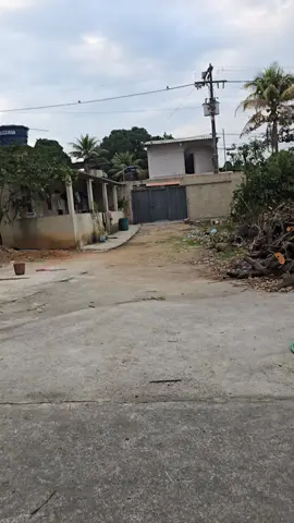 bom dia 