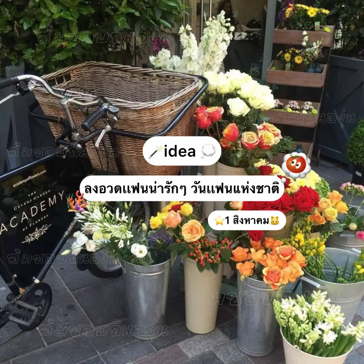 #fyp #ฟีดดดシ #อวดแฟน 