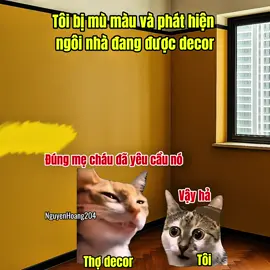 Tôi bị mù màu và phát hiện ngôi nhà đang được decor #meme #catmeme 