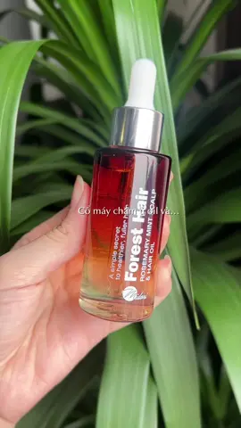 Ủ oil cỡ 18 chai Forest Hair rồi mấy ghệ iu ơi 🥹✨💕 #haircare #hairwashday #haircareroutine #HairCareTips #hairoiling 