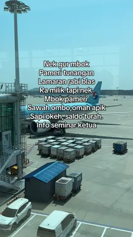 🤙🏼#tkikorea🇰🇷 #tkijapan🇯🇵 