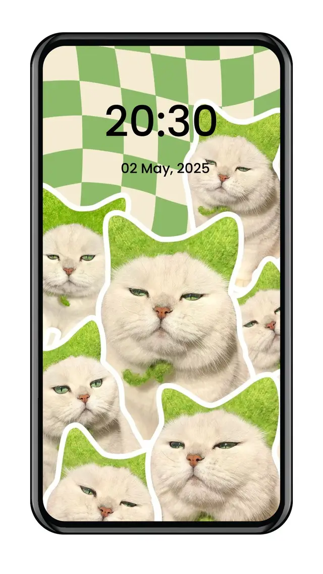 cute cat cute cat cute cat cute cat cute cat #wallpaper #wallpaperiphone #wallpaperhd #cutecats #promomakangajian #fyp 