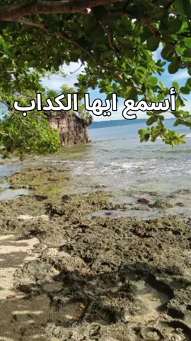 # اسمغ ايها الكداب 😩😩😁😁 # حسبي الله ونعم الوكيل 🤲🤲🤲