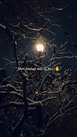 Mere zindagi mein tu hain🩷✨️ #mujheishqhaitujhisemerijaanzindagani 