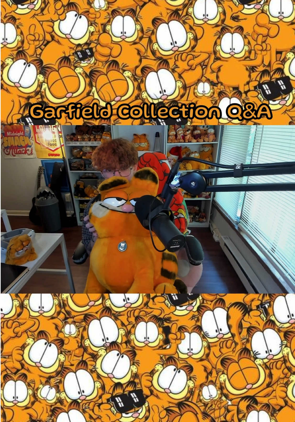 full length collection q&a video in bio :3! #fyp #foryou #garfield #garf #collector #collection #vintage 