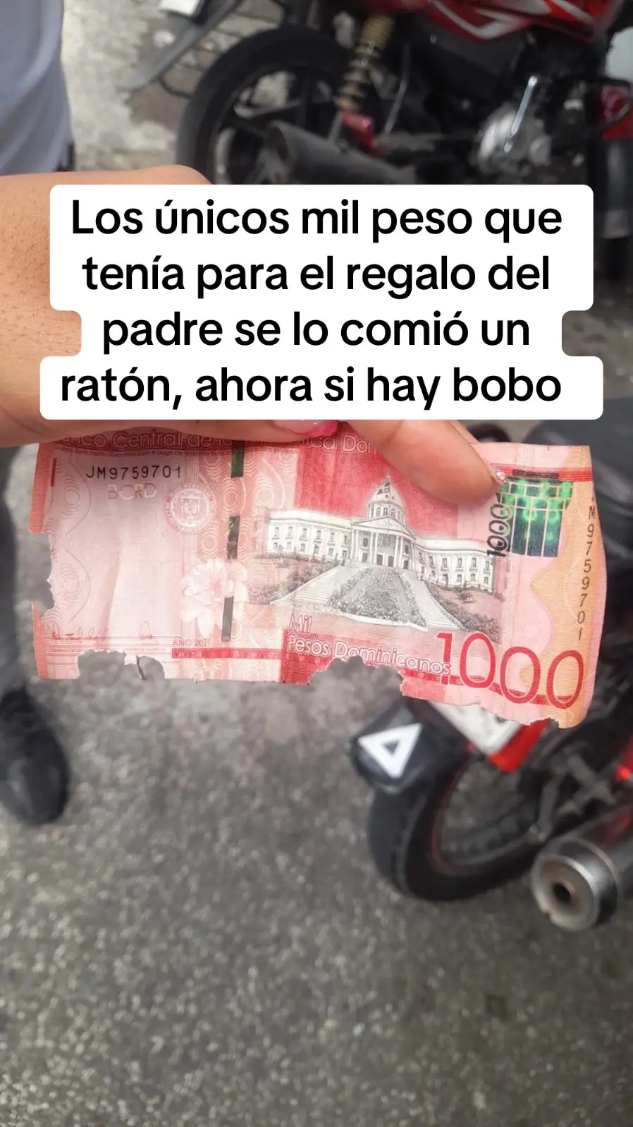 #contenido #padre #jajajaja 