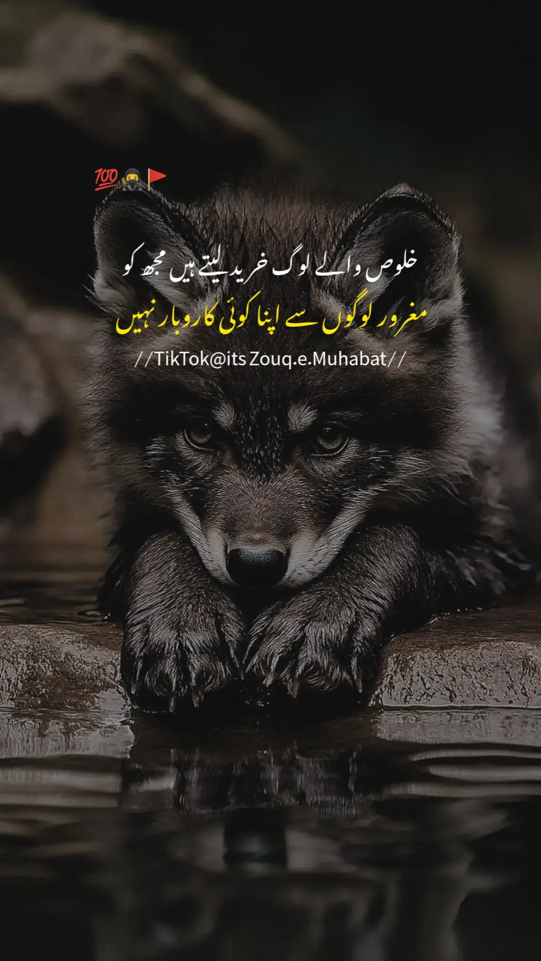 Right💯🥷#pleaseunfareezmyaccount🙏 #foryou #foryoupage #viral #fyp #zouqemuhabatoffical 