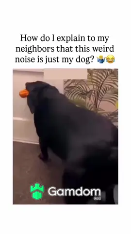 #viral #trending #xyzbca #fypシ #fyp #funny #dog #dogs #dogsoftiktok 