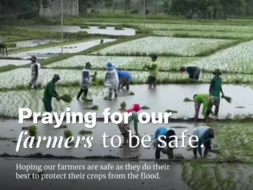 PRAYING FOR OUR FARMERS TO BE SAFE In every drop of rain, there's a farmer's prayer, not for more, but for it to stop. Their rice fields and vegetable crops are their lifeline, their source of income and sustenance. Yet when the skies open too fiercely, those same fields that once promised harvest risk being washed away. So they whisper, 