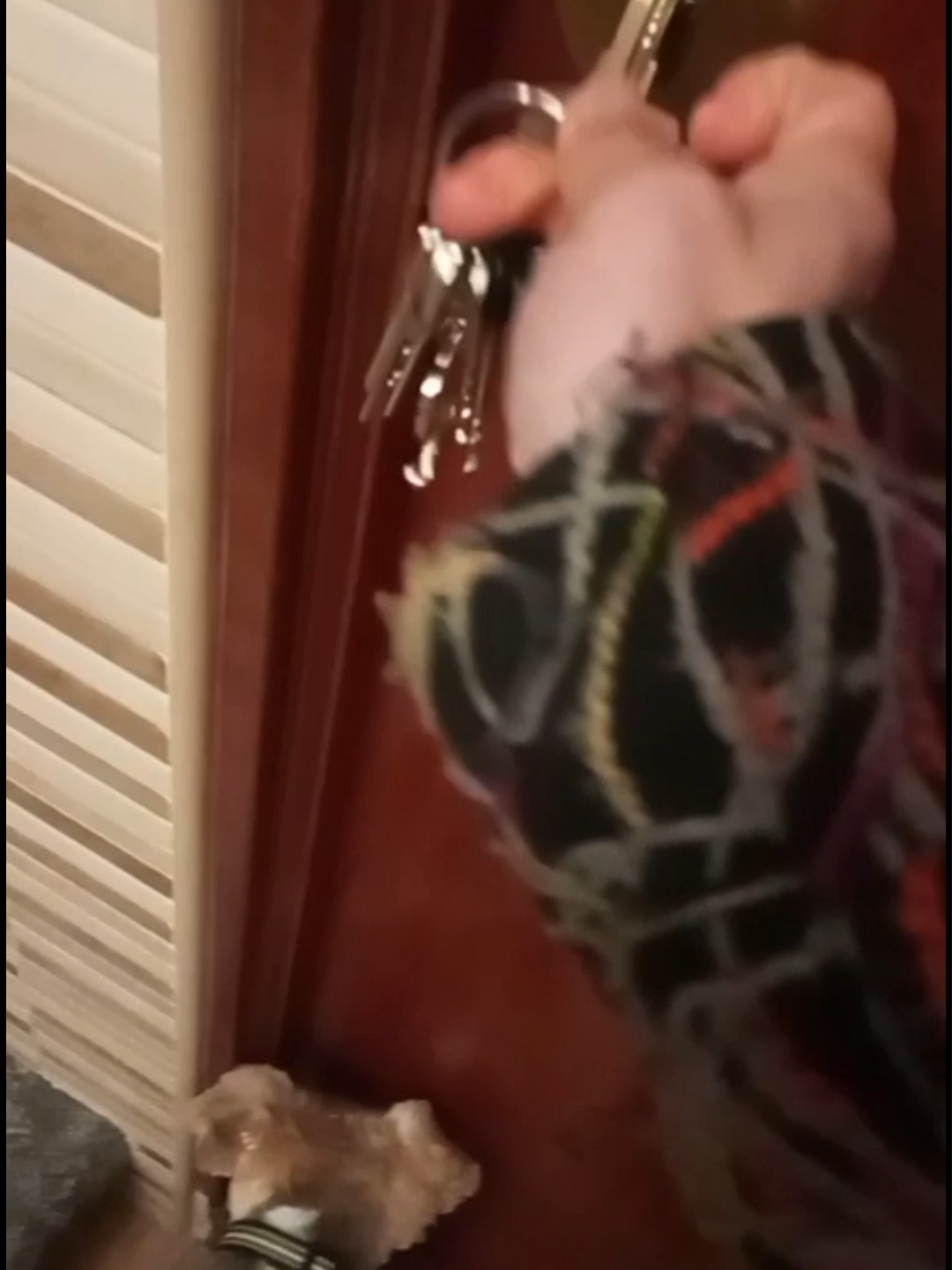 De convivir con su 'inquiokupa' en Basauri (Vizcaya) a huir de su propia casa por miedo: 