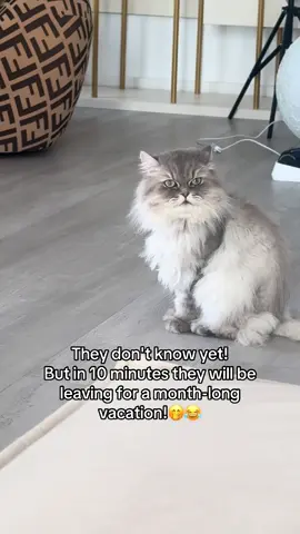 Sorry kids, but mom is ready for St.Tropez! 🤭 See u în september! ❤️