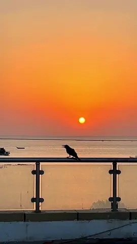 #somaliland #barbara #jsl #somalitiktok #fyp #summertime #dalxiis @momo #dhulkiihooyo 