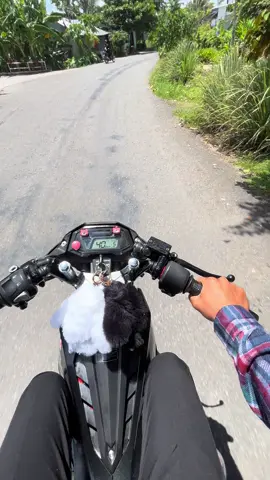 Nắng cháy đầu🥹#honda #sonic150r #xuhuongtiktok #xuhuongtiktok 