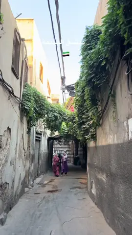 دمشق القديمة🇸🇾#سوريا #دمشق #دمشق_القديمة #اماكن_بشام #شوارع_سوريا #شام #باب_توما #دبي #سعودية #syria #damascus #fyp #olddamascus 