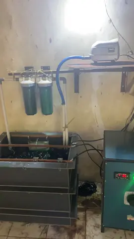 Kita redykan paket usaha crome rumahan kapasitas 100 liter nikel dan 100 litr crome. Trfo 1 unit 300 amper d harga 25-30 jt sudah sama dinamo poles free traning jika langsung datang ke tempat#paketusaha #anodez #vaporblastingindonesia #powdercoating #sandblasting #cromenikel #lapisanantikarat #modifmotor #cb100 #herexjatim #ninjass #partracing #fyppppppppppppppppppppppp 